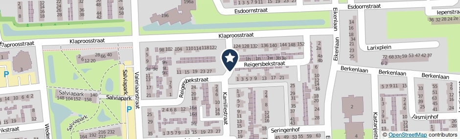 Kaartweergave Reigersbekstraat in Waalwijk