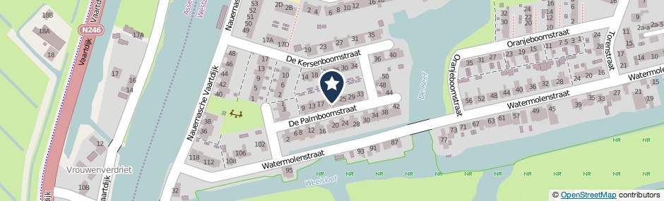 Kaartweergave De Palmboomstraat 21 in Westzaan