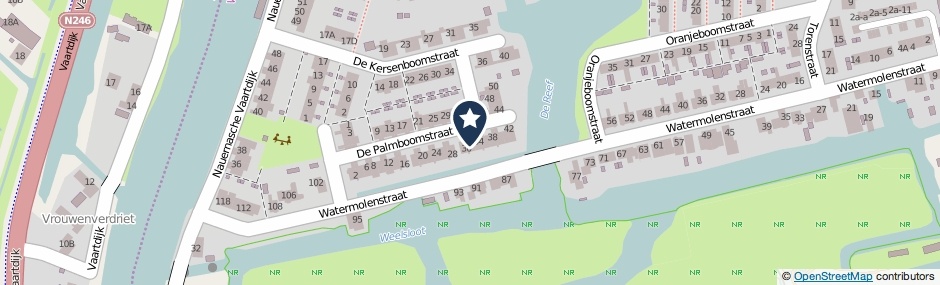 Kaartweergave De Palmboomstraat 32 in Westzaan