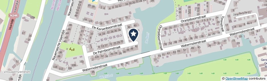 Kaartweergave De Palmboomstraat 44 in Westzaan