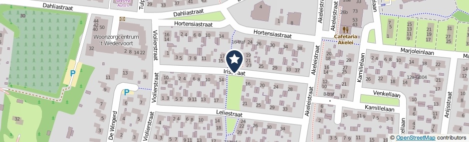 Kaartweergave Irisstraat in Wierden