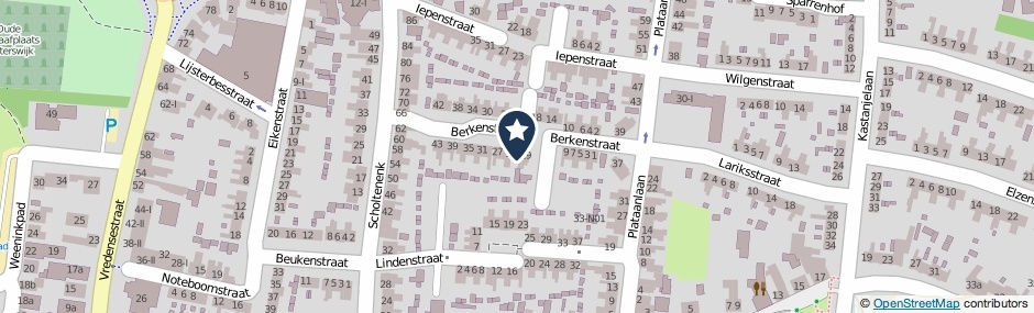 Kaartweergave Berkenstraat 21 in Winterswijk