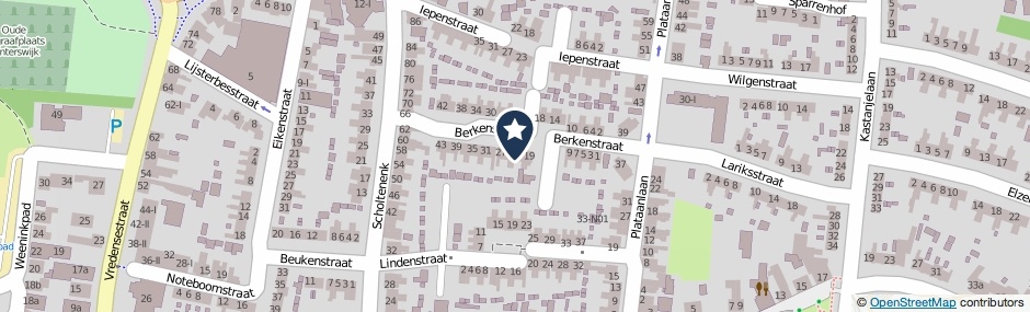 Kaartweergave Berkenstraat 23 in Winterswijk