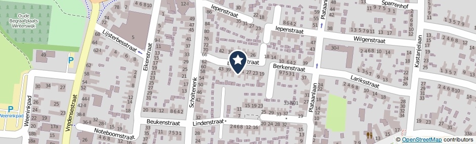 Kaartweergave Berkenstraat 33 in Winterswijk