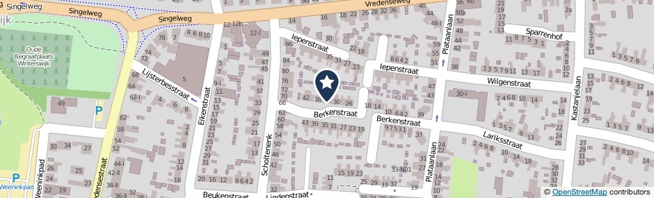 Kaartweergave Berkenstraat 34 in Winterswijk