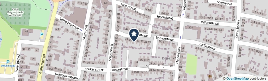 Kaartweergave Berkenstraat 35 in Winterswijk