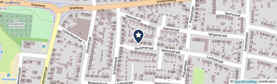 Kaartweergave Berkenstraat 36 in Winterswijk