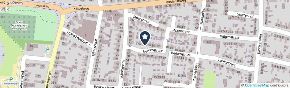 Kaartweergave Berkenstraat 38 in Winterswijk