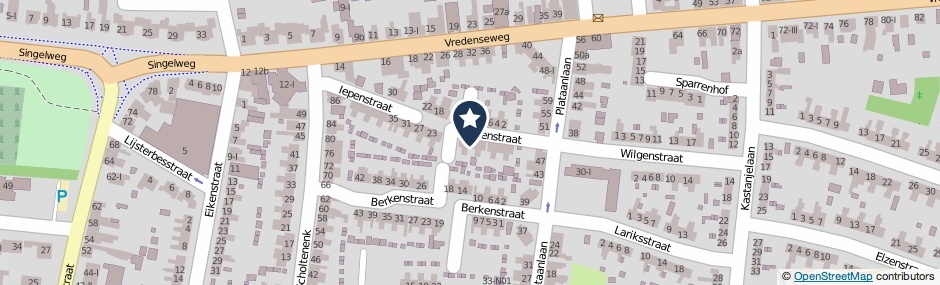 Kaartweergave Iepenstraat 13 in Winterswijk