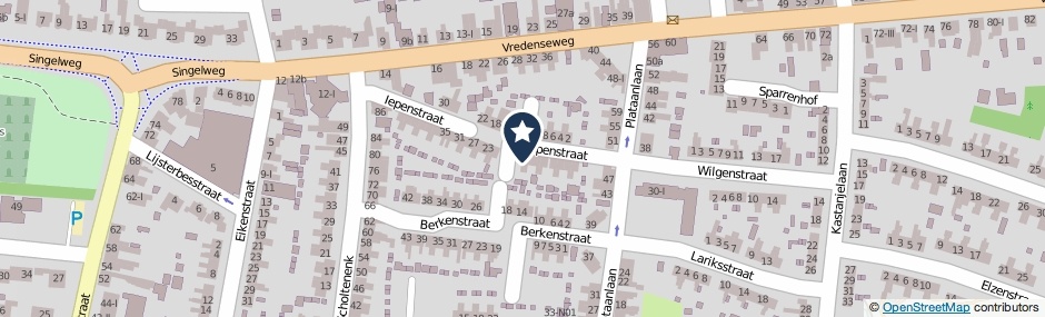 Kaartweergave Iepenstraat 15 in Winterswijk
