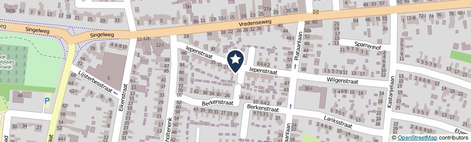 Kaartweergave Iepenstraat 21 in Winterswijk