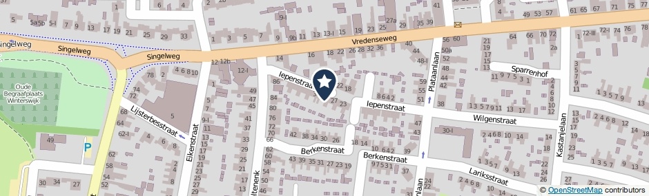 Kaartweergave Iepenstraat 31 in Winterswijk