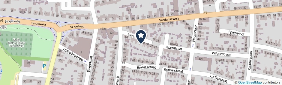 Kaartweergave Iepenstraat 37 in Winterswijk