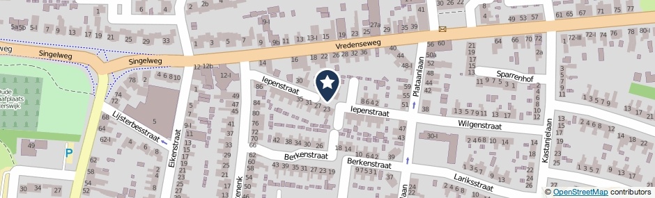 Kaartweergave Iepenstraat in Winterswijk