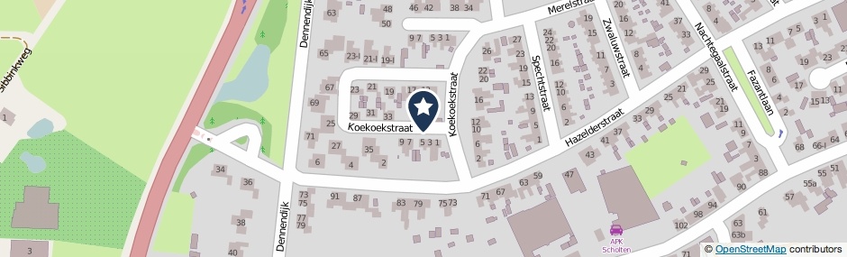 Kaartweergave Koekoekstraat in Winterswijk