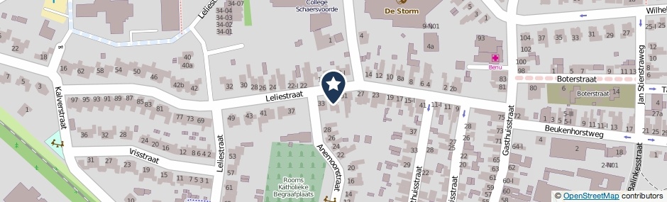 Kaartweergave Leliestraat 31-A in Winterswijk