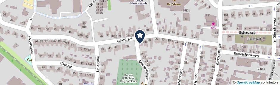 Kaartweergave Leliestraat 33 in Winterswijk