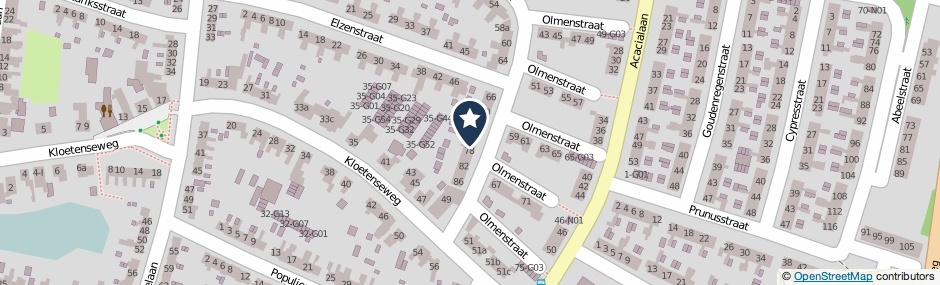 Kaartweergave Olmenstraat 76 in Winterswijk