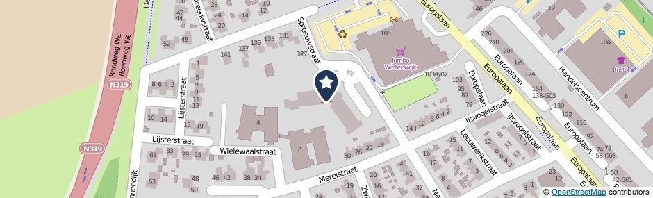 Kaartweergave Spreeuwstraat 101 in Winterswijk