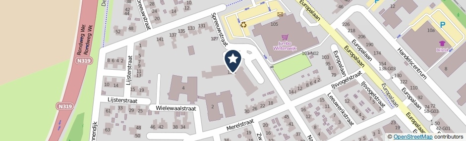 Kaartweergave Spreeuwstraat 121 in Winterswijk