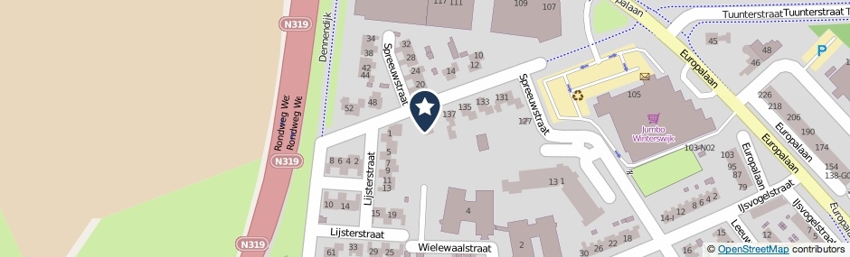 Kaartweergave Spreeuwstraat 141 in Winterswijk
