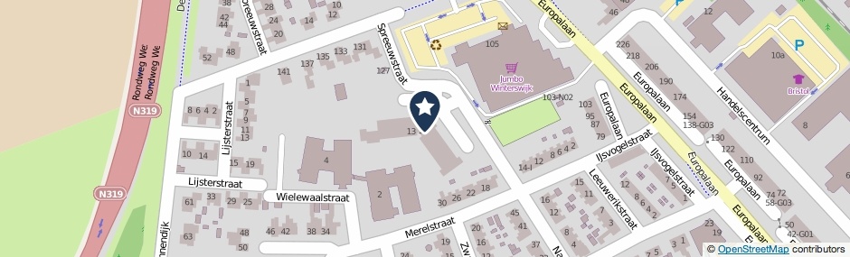 Kaartweergave Spreeuwstraat 81 in Winterswijk