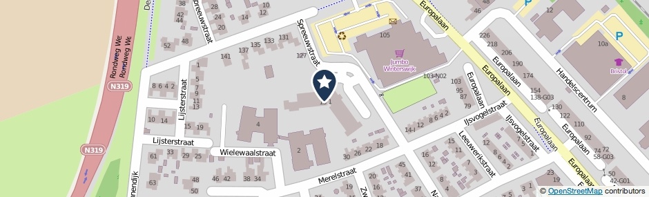 Kaartweergave Spreeuwstraat 91 in Winterswijk