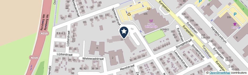 Kaartweergave Spreeuwstraat 95 in Winterswijk