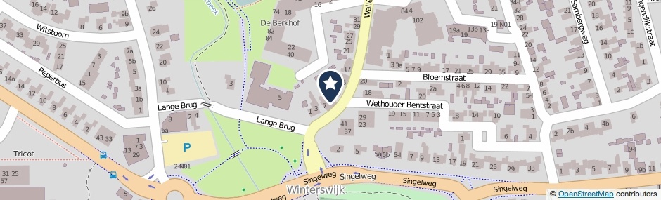 Kaartweergave Waliensestraat 9 in Winterswijk