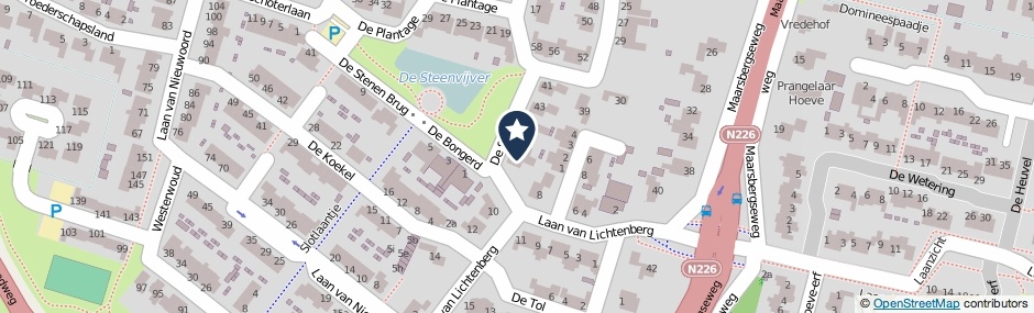 Kaartweergave De Steen 49 in Woudenberg