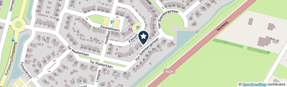 Kaartweergave Van Steenbergenlaan 13 in Woudenberg