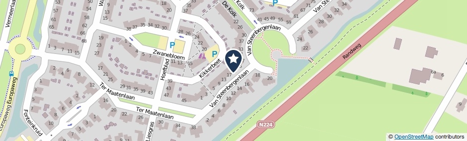 Kaartweergave Van Steenbergenlaan 21 in Woudenberg