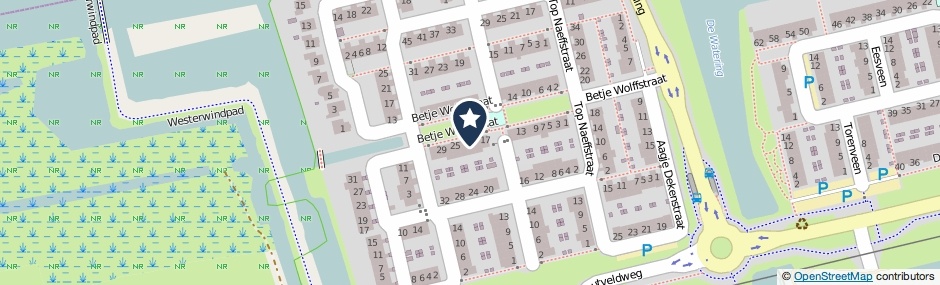 Kaartweergave Betje Wolffstraat 21 in Zaandam