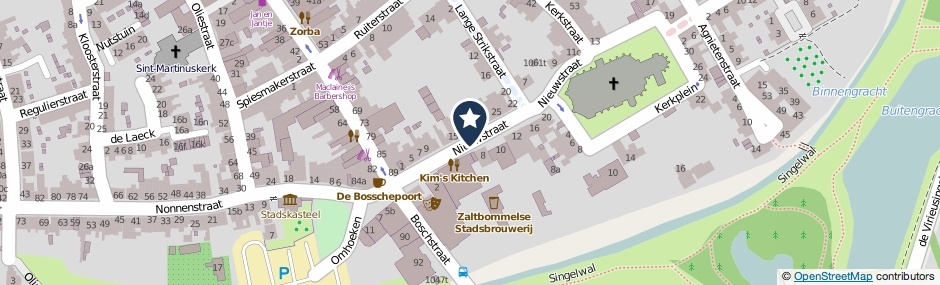 Kaartweergave Nieuwstraat in Zaltbommel