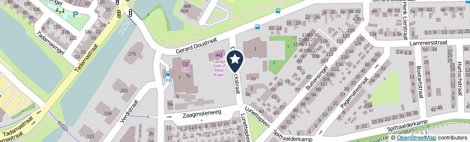 Kaartweergave Govert Flinckstraat in Zutphen